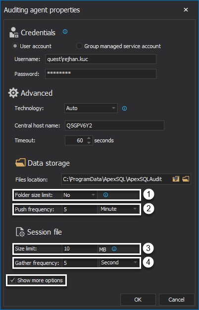 Advanced agent auditing properties